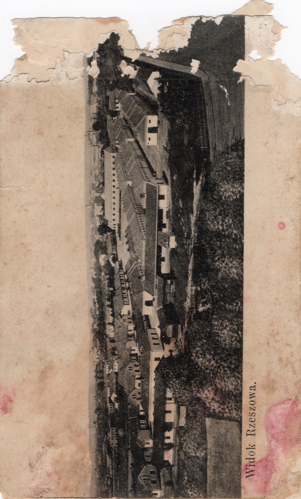 Widok Rzeszowa (panorama, winieta); wczesna (~1905–1910)