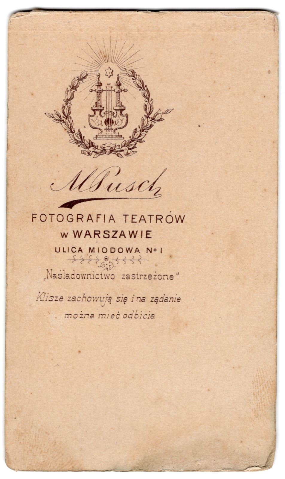 Odwrocie karty: portret kobiety w sukni w groszki (fotografia gabinetowa, ok. 1894–1898)