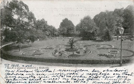 Dywan kwiatowy z palmą na Plantach