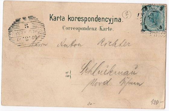 Odwrocie karty: Cztery widoki wśród niezapominajek