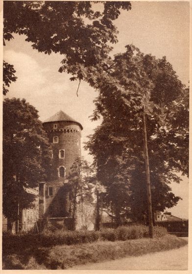 Baszta Sandomierska wśród drzew
