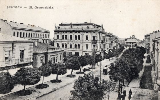 Aleja drzew przy okazałym gmachu