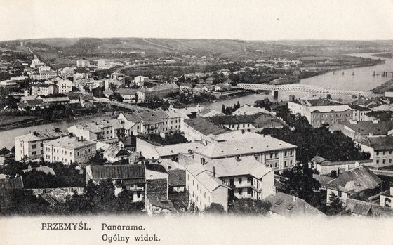 Panorama ze stalowym mostem